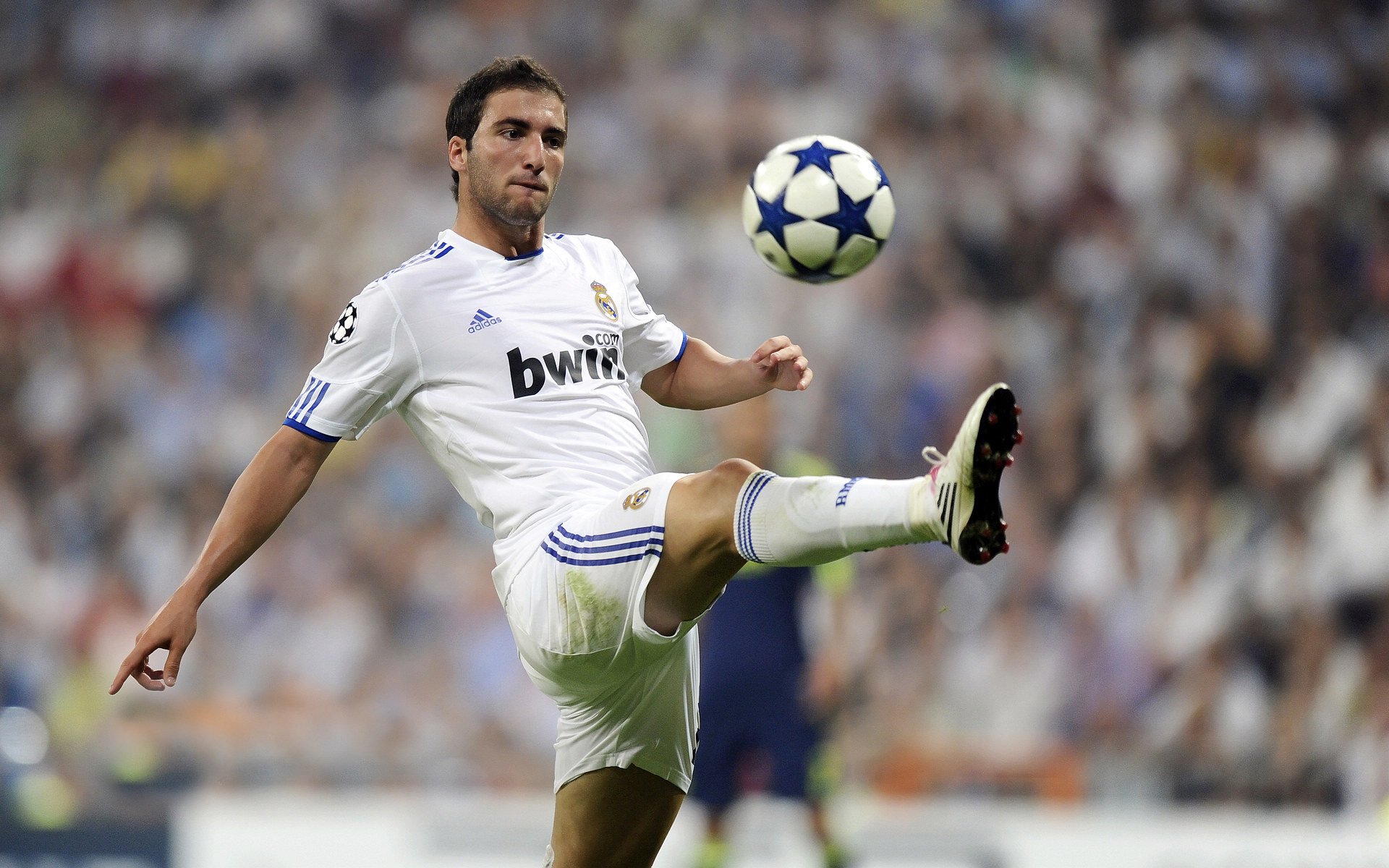 _魔术队迎来一波连胜，士气高昂_，魔术队集锦