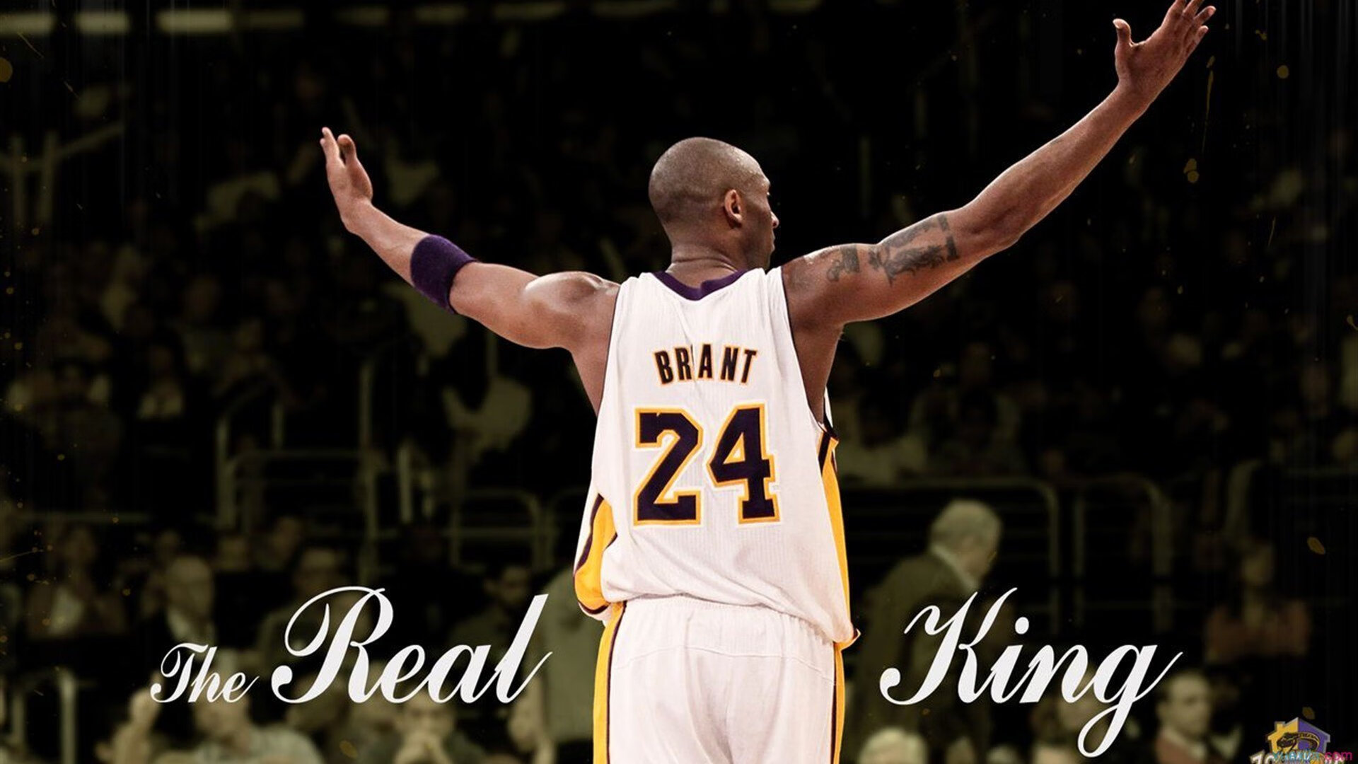 “激情现场：球迷的疯狂援助瞬间”，激情篮球